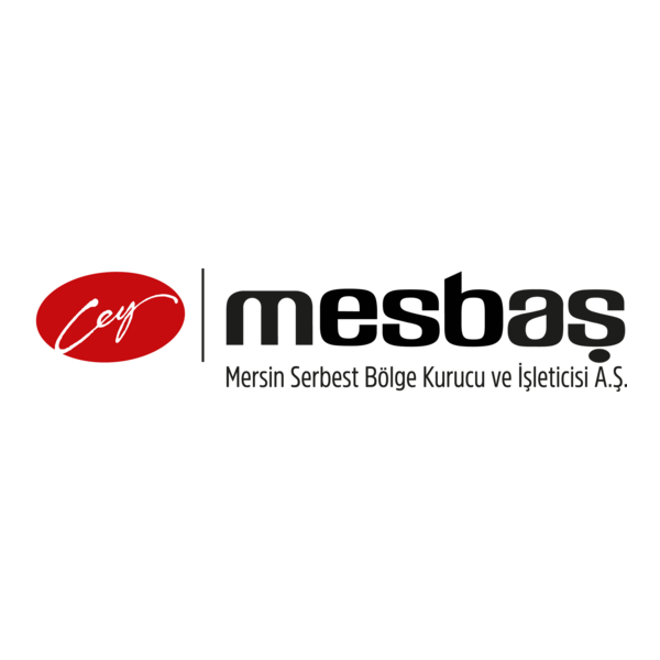 MESBAŞ Dış Ticaret ve Vizyon Danışmanı